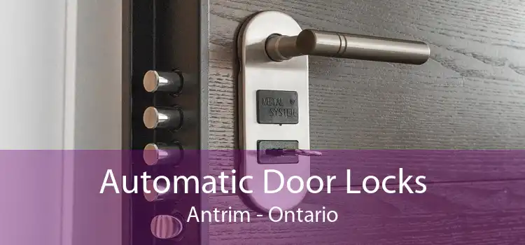 Automatic Door Locks Antrim - Ontario