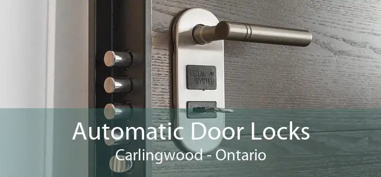Automatic Door Locks Carlingwood - Ontario