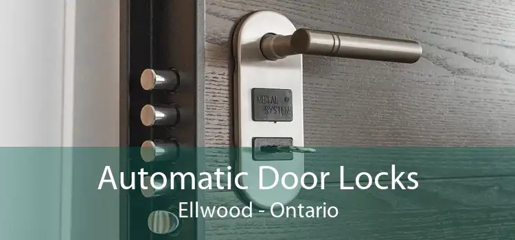 Automatic Door Locks Ellwood - Ontario