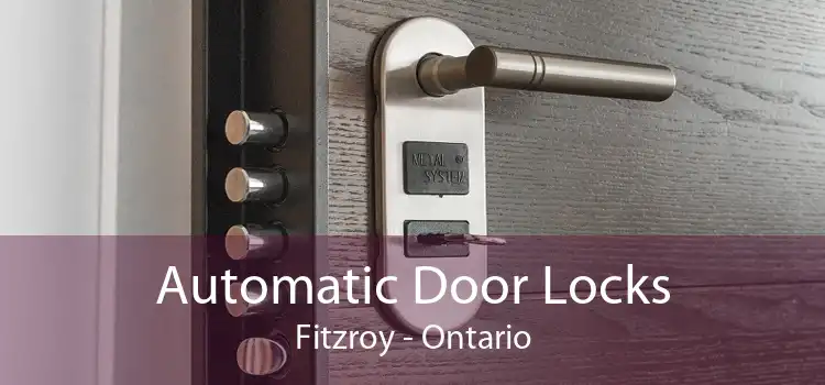 Automatic Door Locks Fitzroy - Ontario