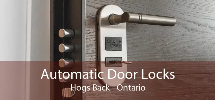 Automatic Door Locks Hogs Back - Ontario