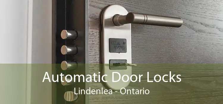 Automatic Door Locks Lindenlea - Ontario