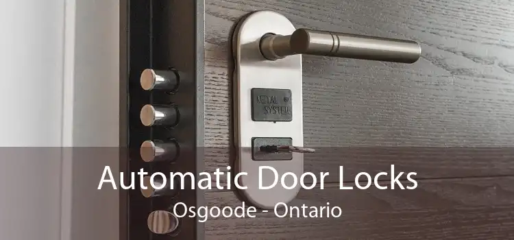 Automatic Door Locks Osgoode - Ontario