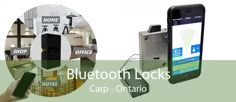 Bluetooth Locks Carp - Ontario