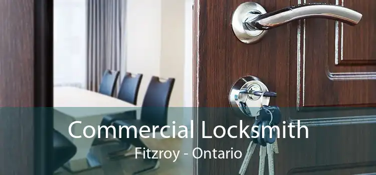 Commercial Locksmith Fitzroy - Ontario