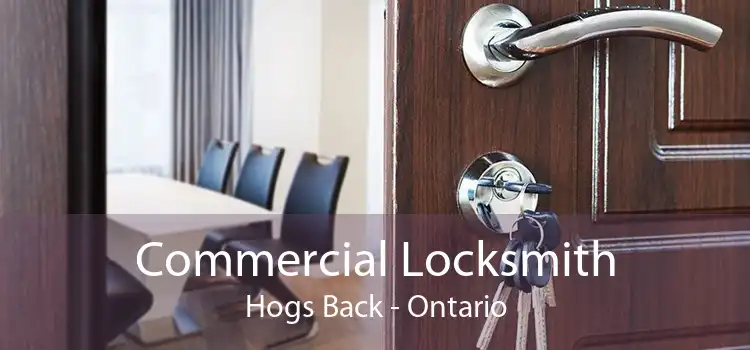 Commercial Locksmith Hogs Back - Ontario