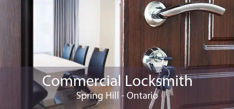 Commercial Locksmith Spring Hill - Ontario