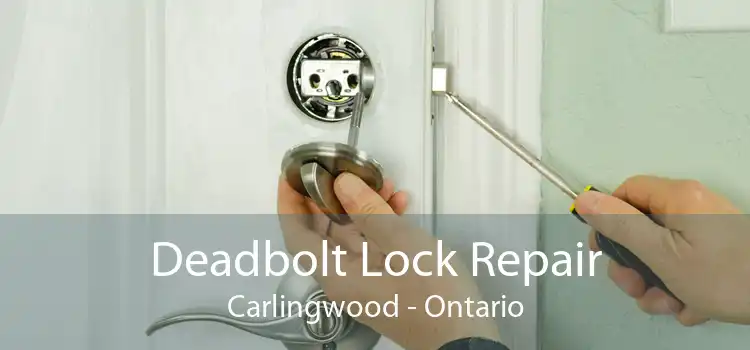 Deadbolt Lock Repair Carlingwood - Ontario