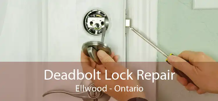 Deadbolt Lock Repair Ellwood - Ontario