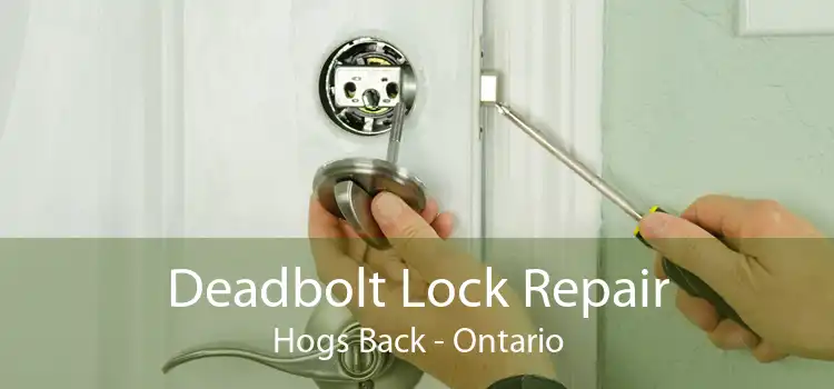Deadbolt Lock Repair Hogs Back - Ontario