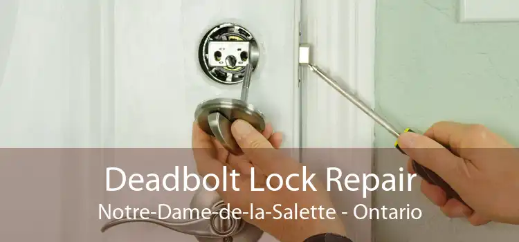 Deadbolt Lock Repair Notre-Dame-de-la-Salette - Ontario