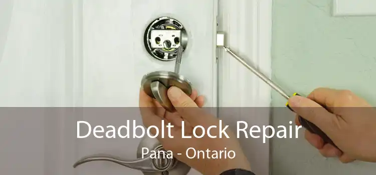 Deadbolt Lock Repair Pana - Ontario