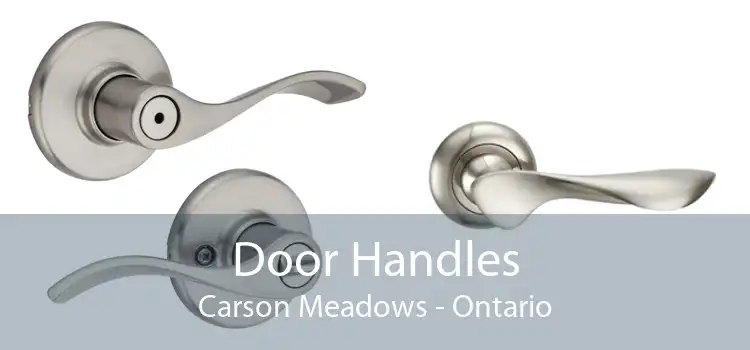 Door Handles Carson Meadows - Ontario