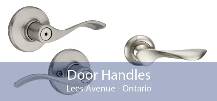 Door Handles Lees Avenue - Ontario