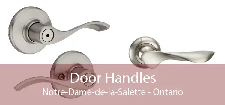 Door Handles Notre-Dame-de-la-Salette - Ontario