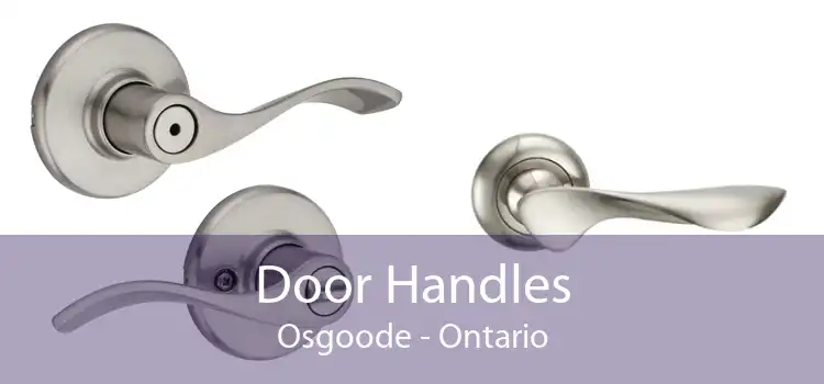 Door Handles Osgoode - Ontario