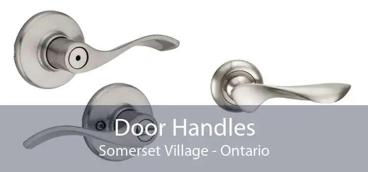Door Handles Somerset Village - Ontario