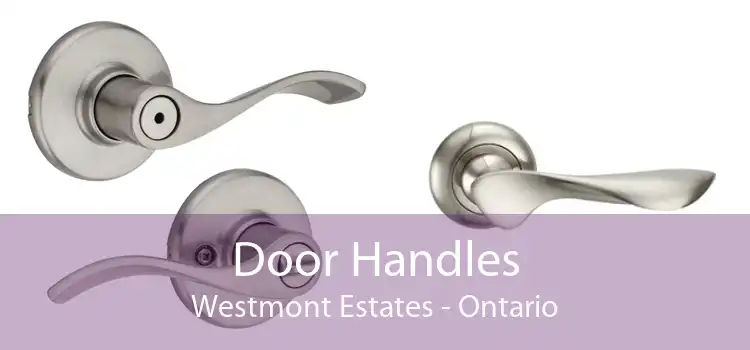 Door Handles Westmont Estates - Ontario