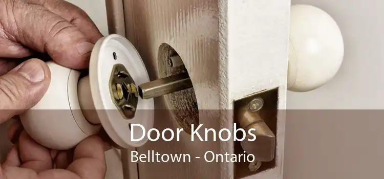 Door Knobs Belltown - Ontario