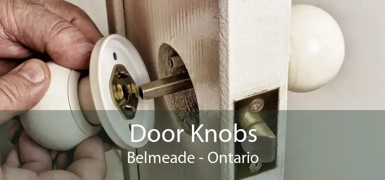 Door Knobs Belmeade - Ontario