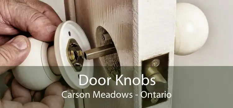 Door Knobs Carson Meadows - Ontario