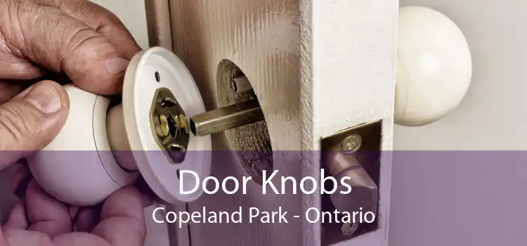 Door Knobs Copeland Park - Ontario