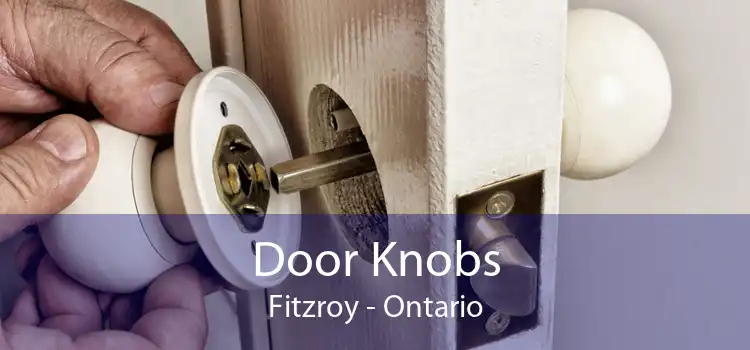 Door Knobs Fitzroy - Ontario