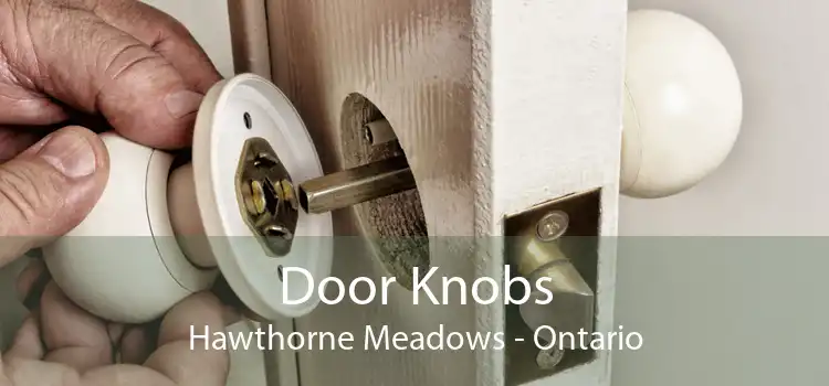 Door Knobs Hawthorne Meadows - Ontario