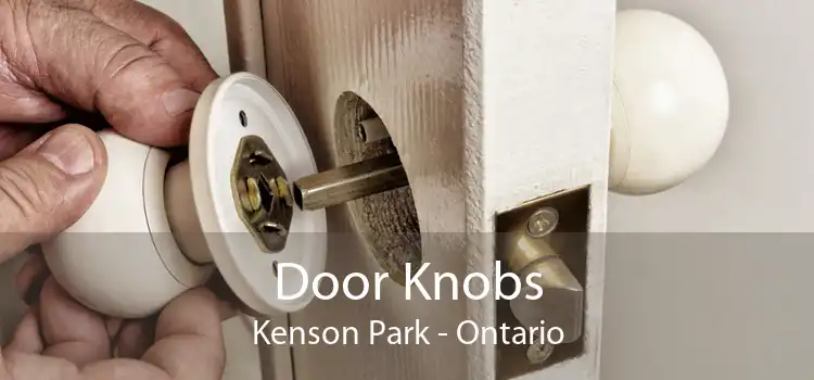 Door Knobs Kenson Park - Ontario