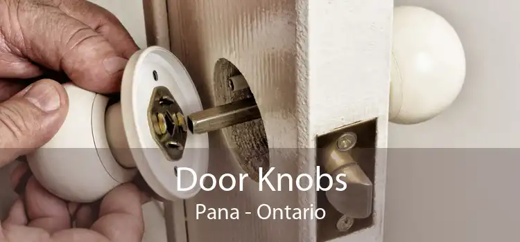 Door Knobs Pana - Ontario