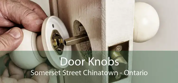 Door Knobs Somerset Street Chinatown - Ontario