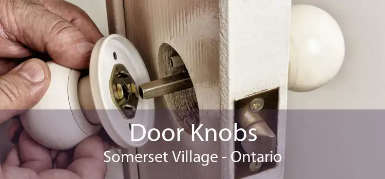 Door Knobs Somerset Village - Ontario