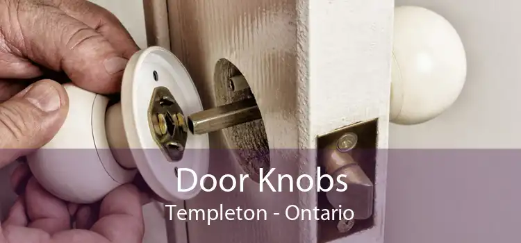 Door Knobs Templeton - Ontario