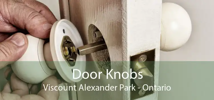 Door Knobs Viscount Alexander Park - Ontario