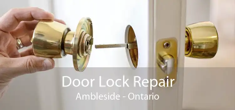 Door Lock Repair Ambleside - Ontario