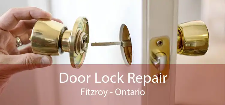 Door Lock Repair Fitzroy - Ontario