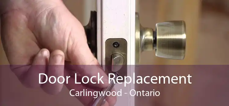 Door Lock Replacement Carlingwood - Ontario