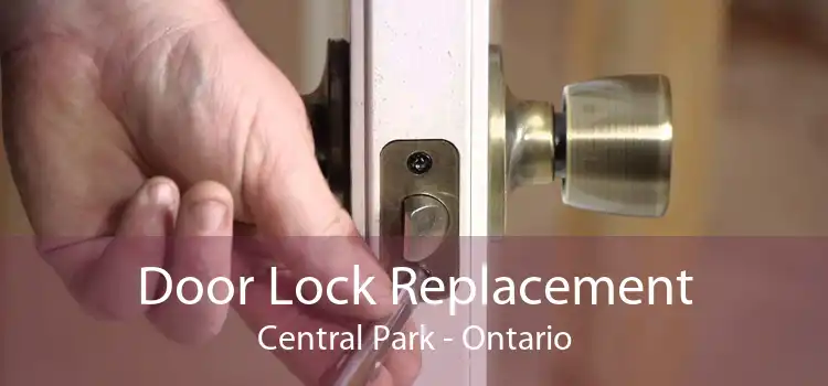 Door Lock Replacement Central Park - Ontario