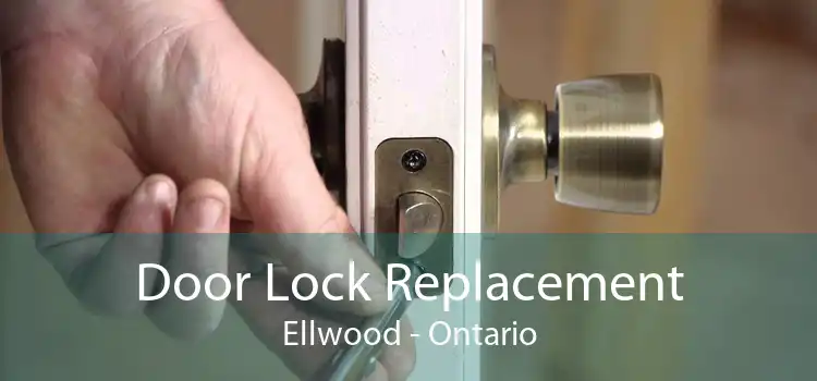 Door Lock Replacement Ellwood - Ontario