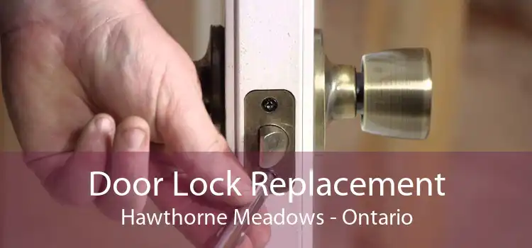 Door Lock Replacement Hawthorne Meadows - Ontario