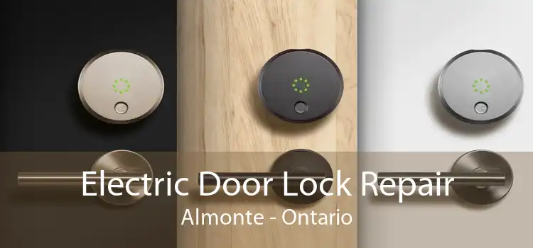 Electric Door Lock Repair Almonte - Ontario