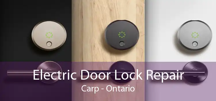 Electric Door Lock Repair Carp - Ontario