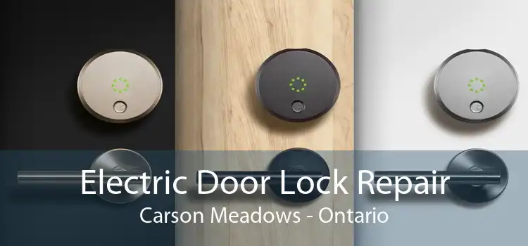 Electric Door Lock Repair Carson Meadows - Ontario