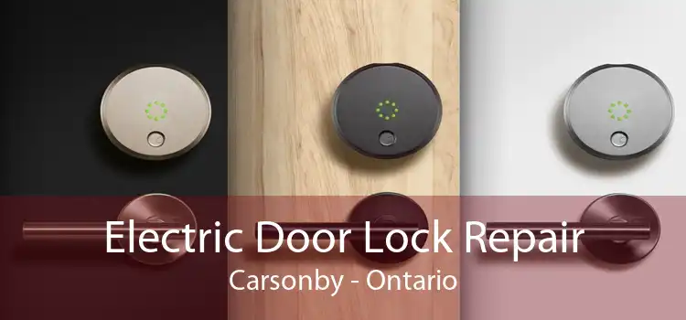 Electric Door Lock Repair Carsonby - Ontario