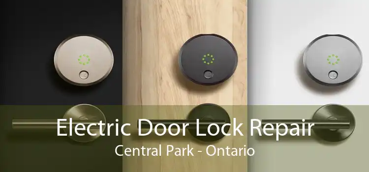 Electric Door Lock Repair Central Park - Ontario