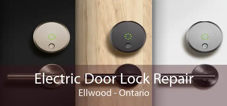 Electric Door Lock Repair Ellwood - Ontario