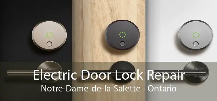 Electric Door Lock Repair Notre-Dame-de-la-Salette - Ontario