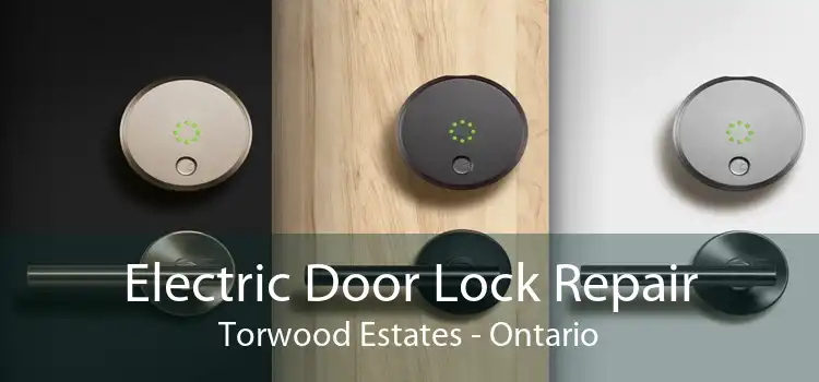 Electric Door Lock Repair Torwood Estates - Ontario