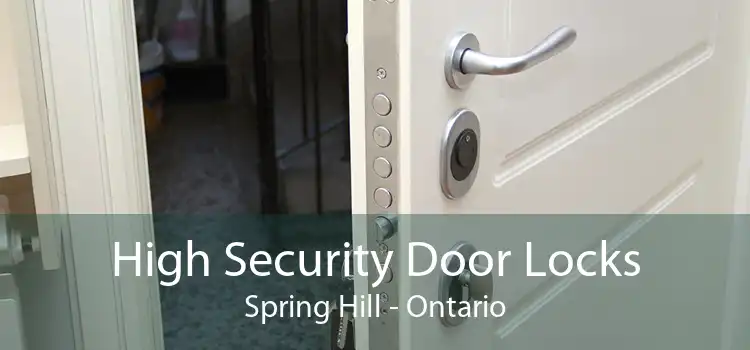 High Security Door Locks Spring Hill - Ontario