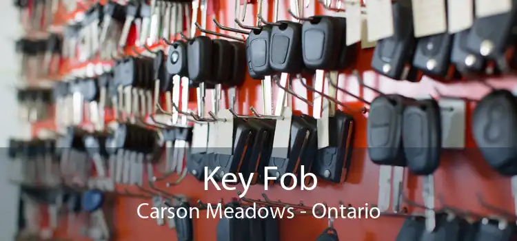 Key Fob Carson Meadows - Ontario